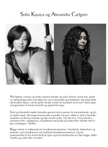 Duo Kayaya & Carlgren